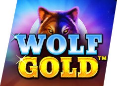 wolf-gold